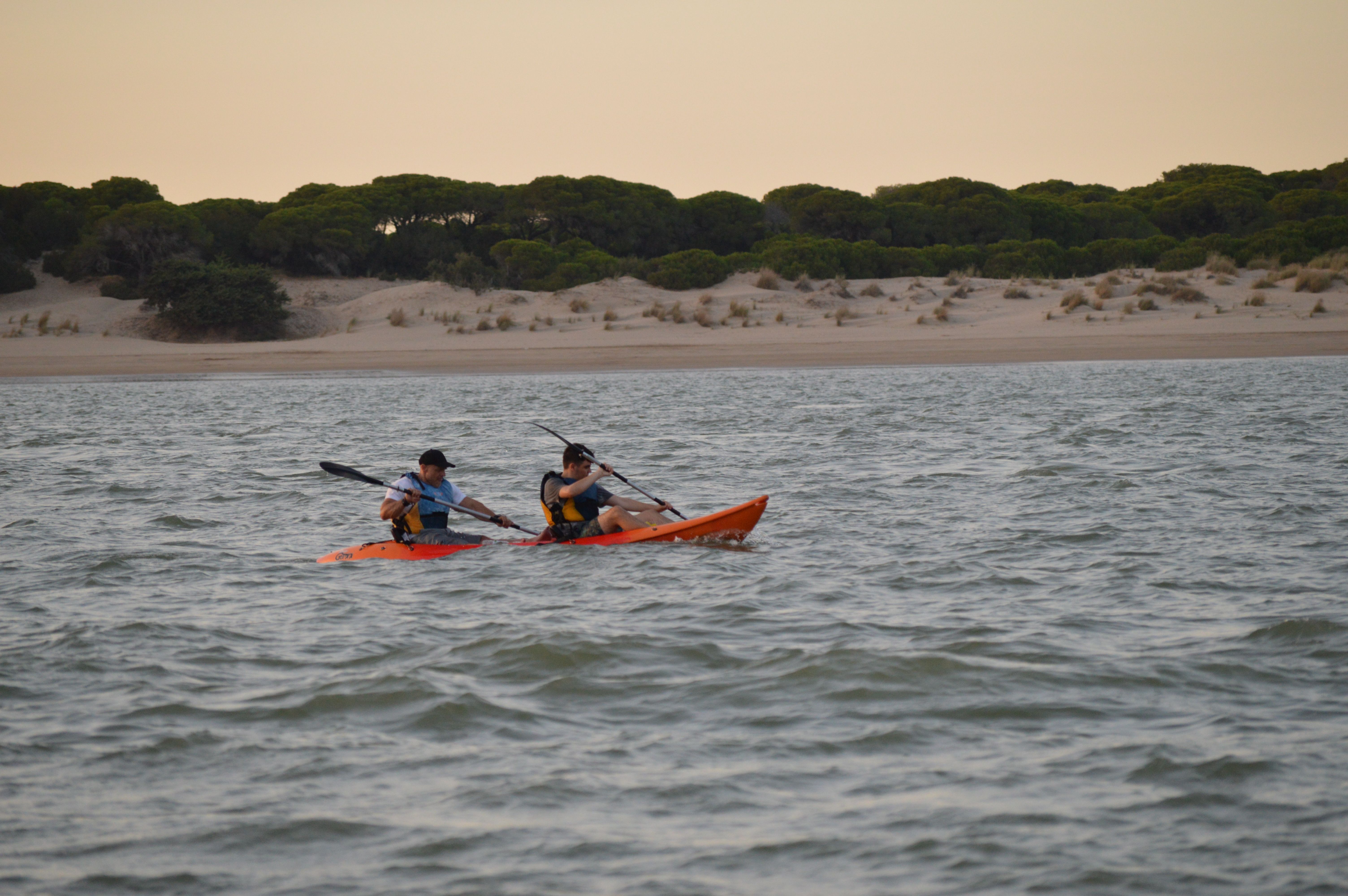 Ruta en kayak por la punta de Malandar en Doñana