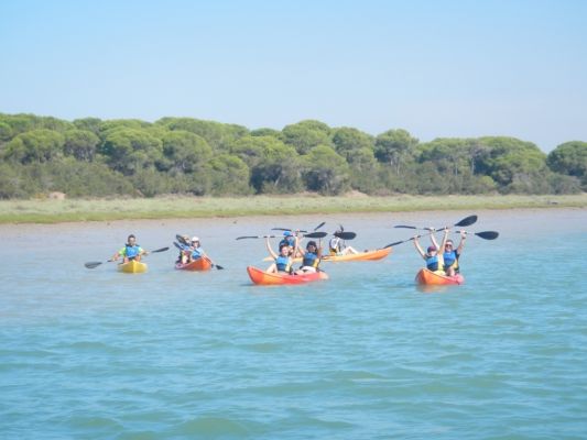 Actividad en grupo de kayaks