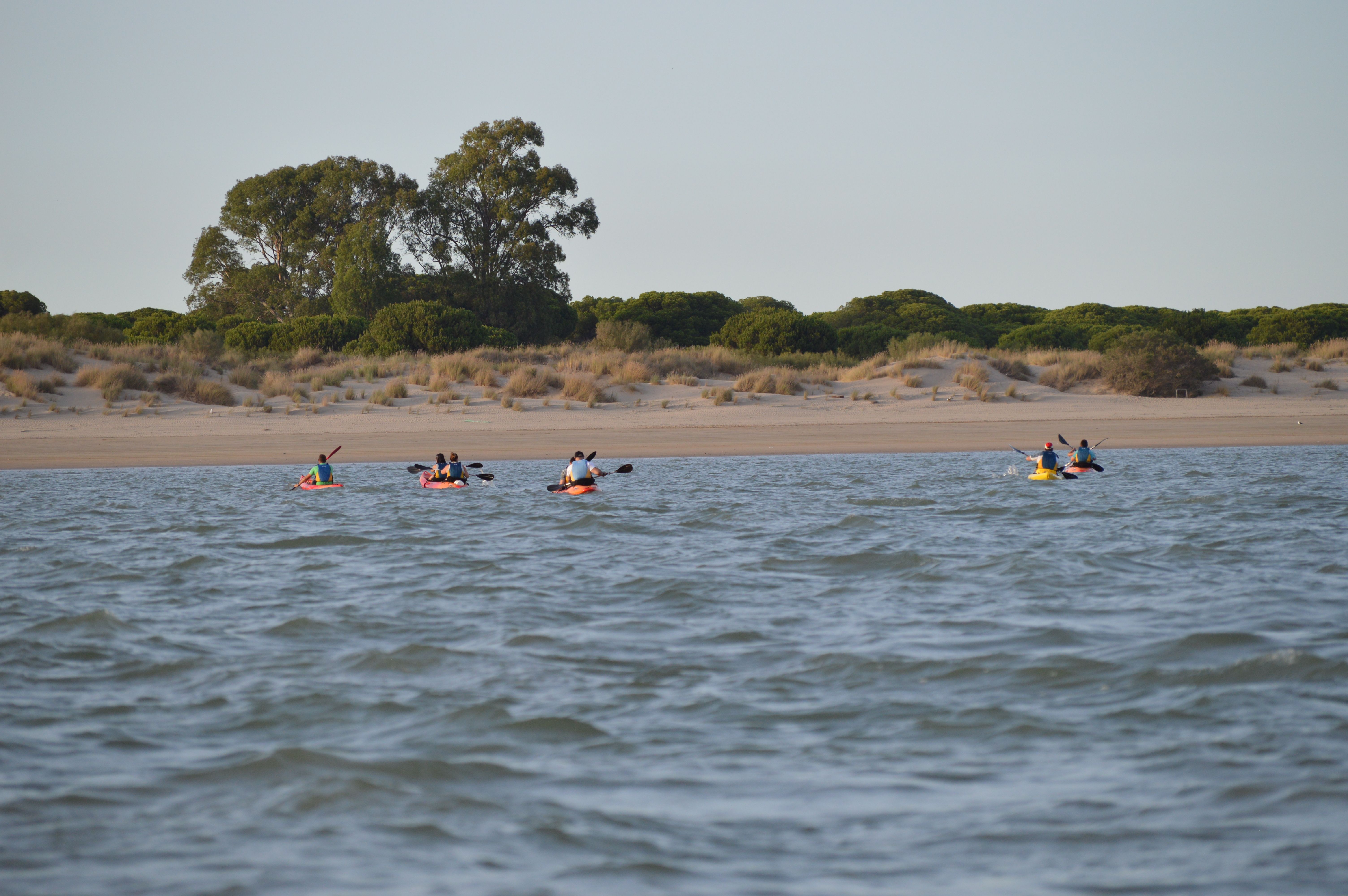 Curso de kayak en Doñana
