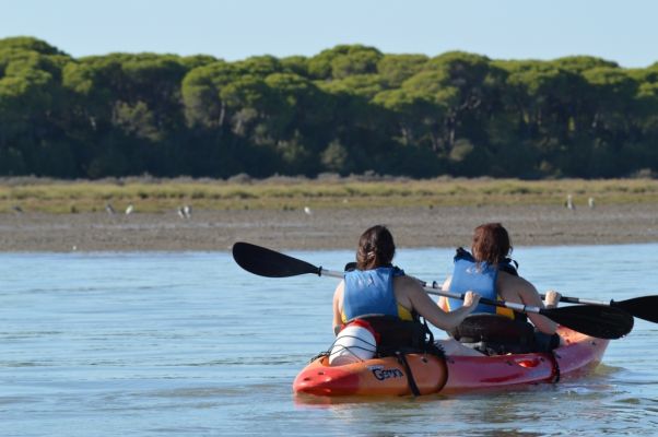 kayaks y aves de fondo en Doñana