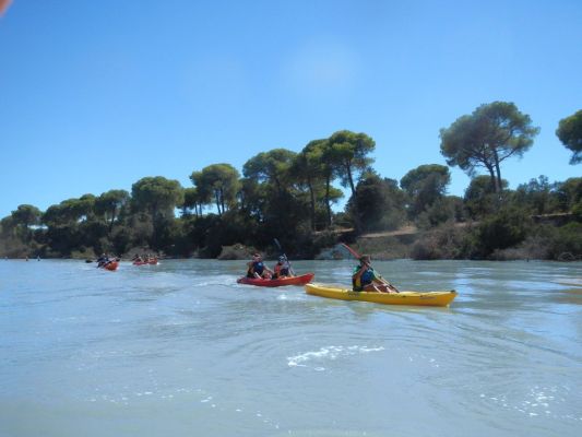 Kayak con Doñana de fondo