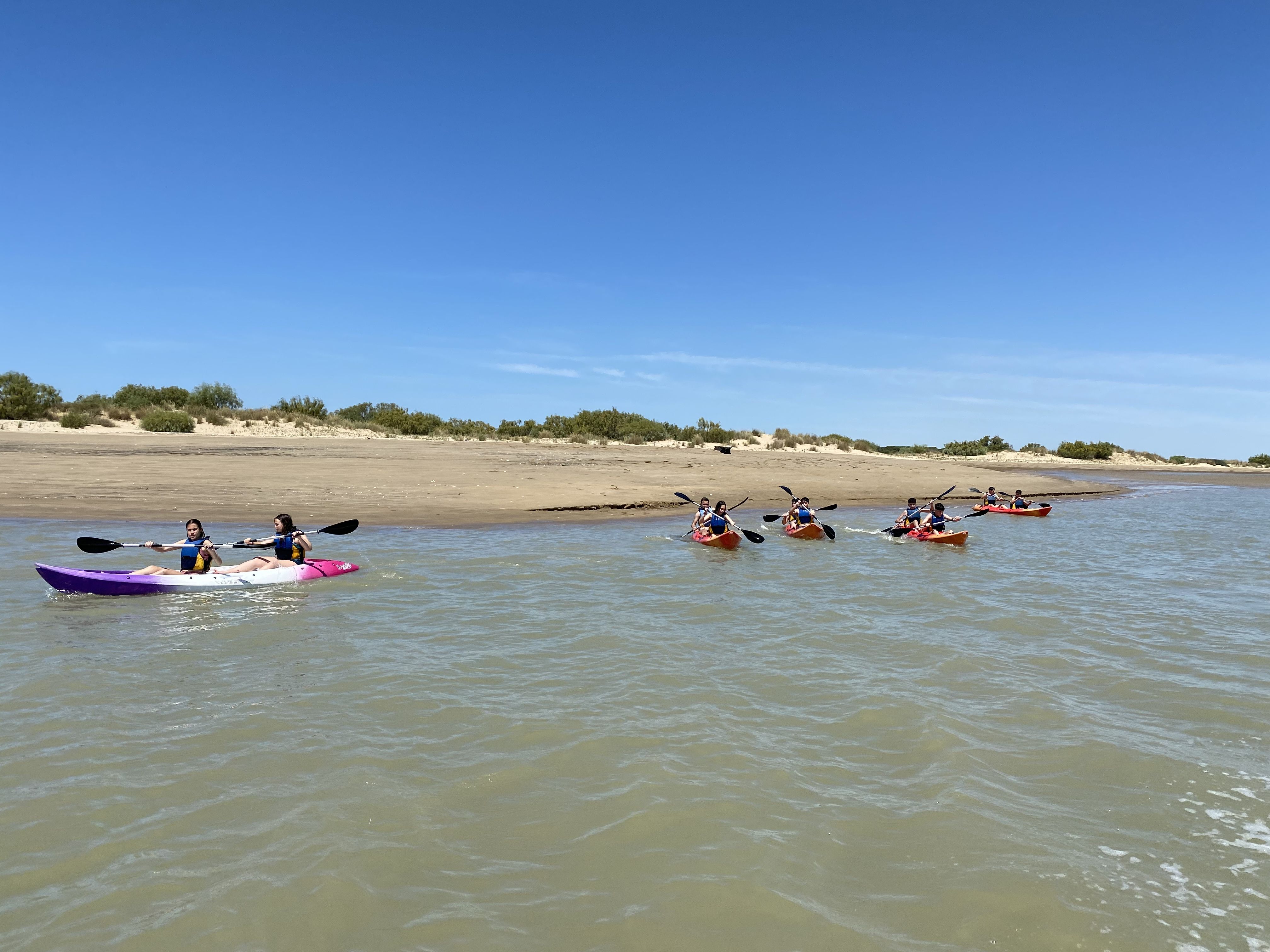 Ruta en kayak con aves en la orilla de Doñana