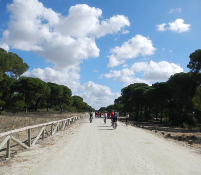 Aventura en Doñana para escolares Sanlúcar