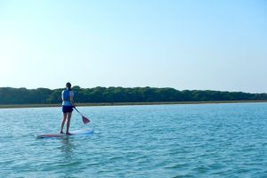 Actividades en paddlesurf en Doñana, Sanlúcar de Barrameda 