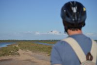 Ruta en bicicleta por Doñana con escolares