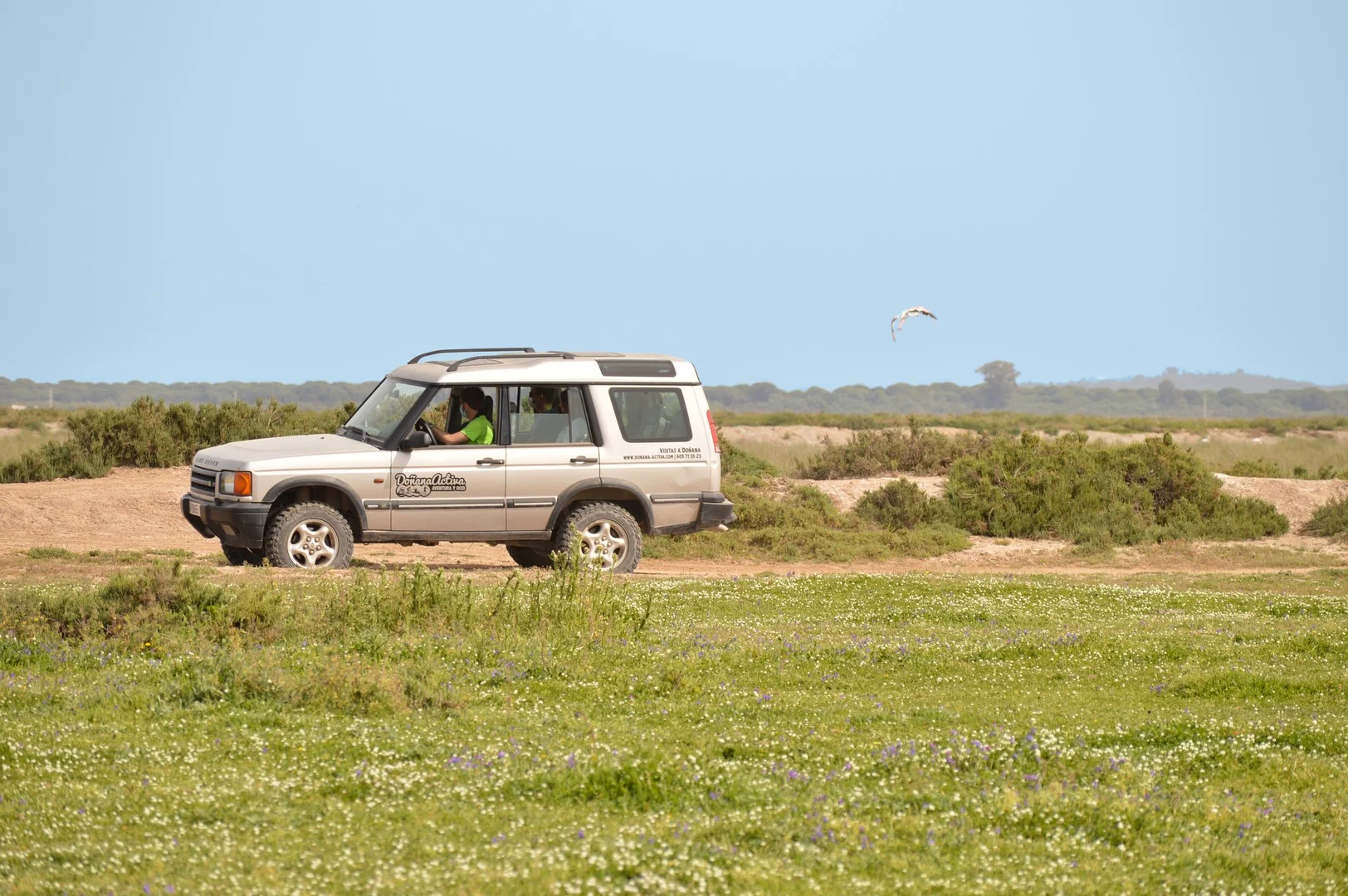 Visita al Parque Natural de Doñana en Todoterreno 5