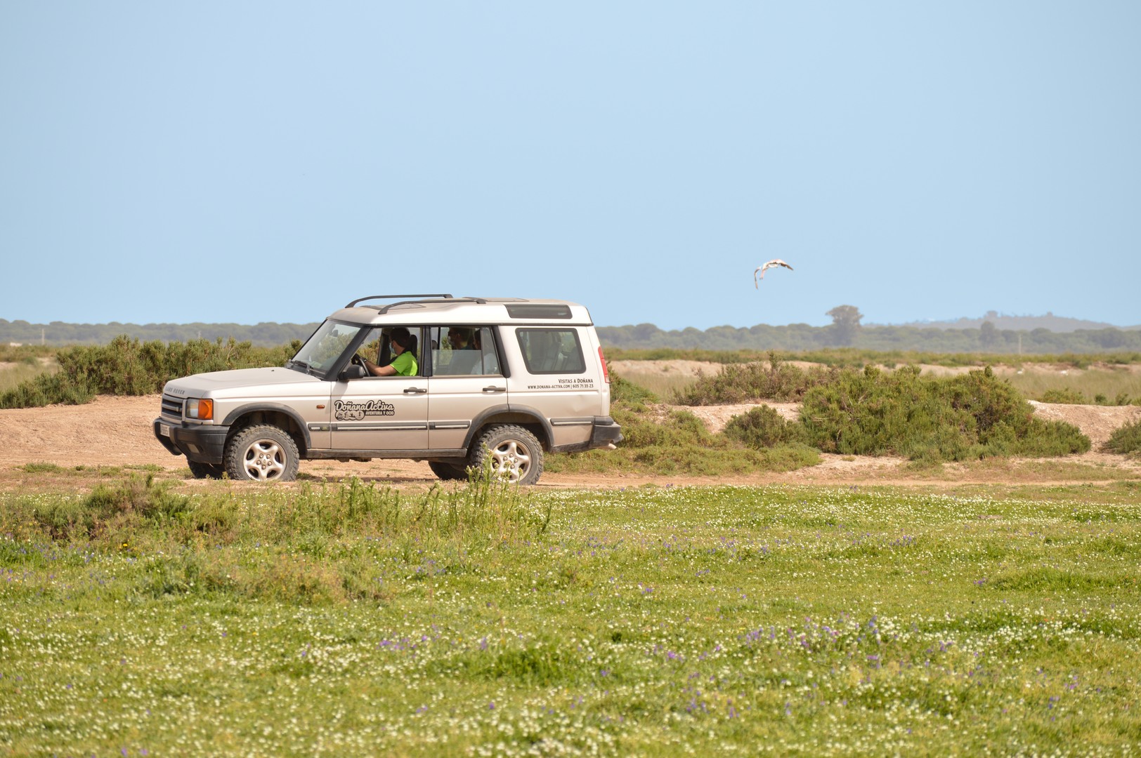 Visita al Parque Natural de Doñana en Todoterreno 5
