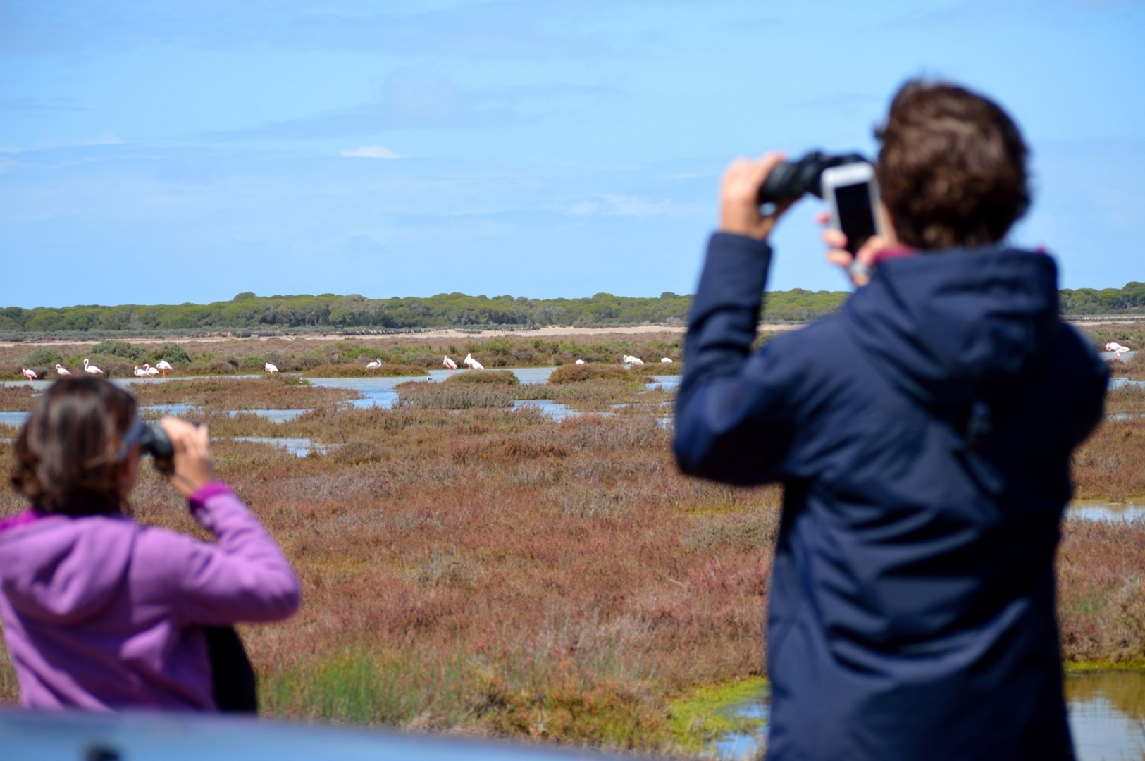 Visita al Parque Natural de Doñana en Todoterreno 3