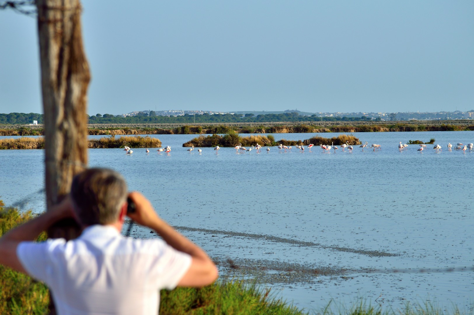 Visita al Parque Natural de Doñana en Todoterreno 1