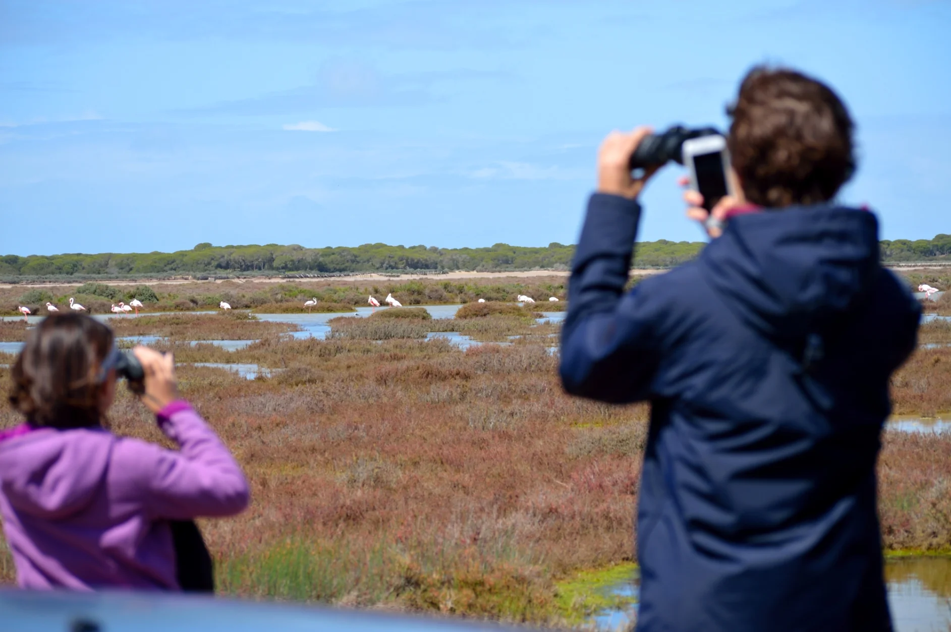 Observación de aves en el Parque Natural de Doñana 2
