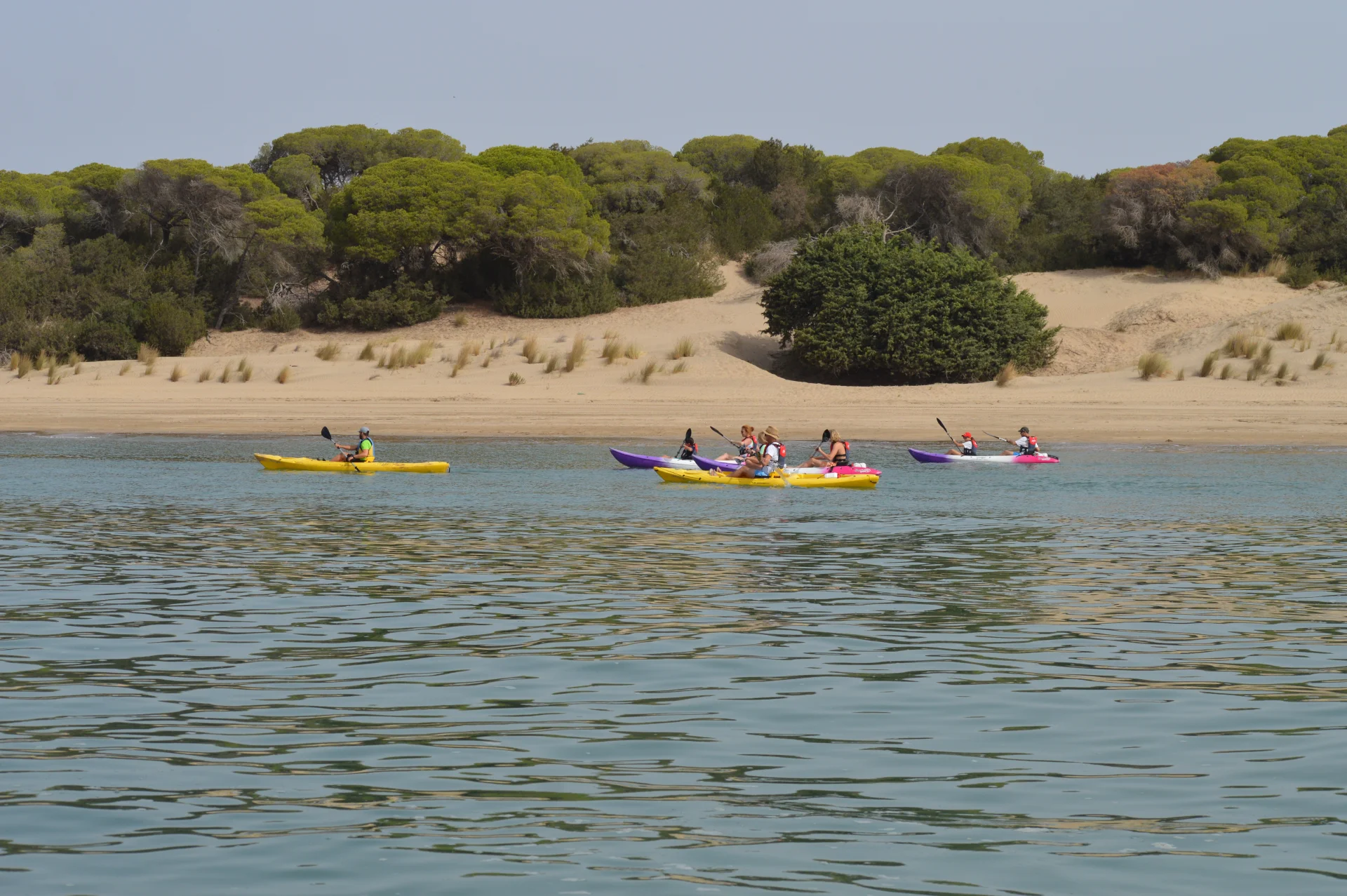 Ruta en kayak de Sanlúcar a Doñana 5