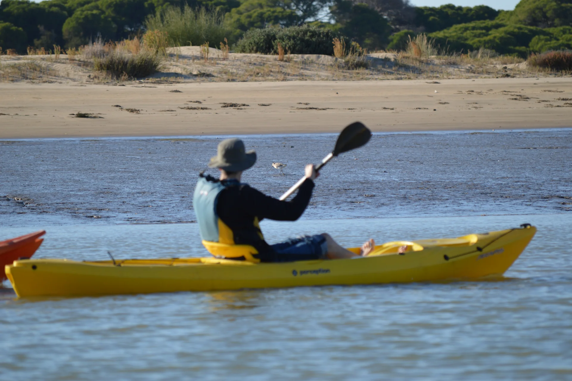 Ruta en kayak de Sanlúcar a Doñana 6