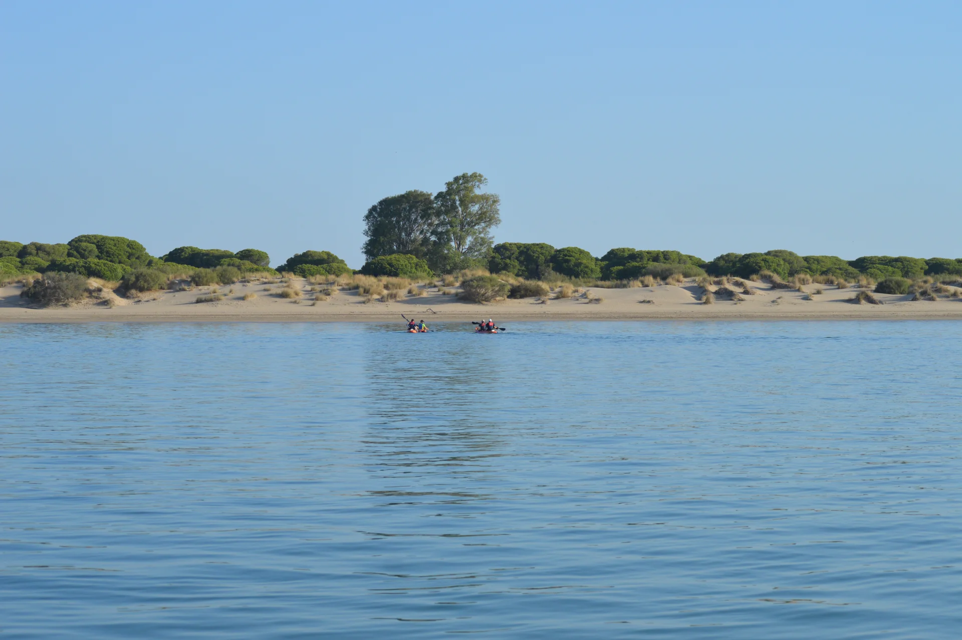 Ruta en kayak de Sanlúcar a Doñana 2