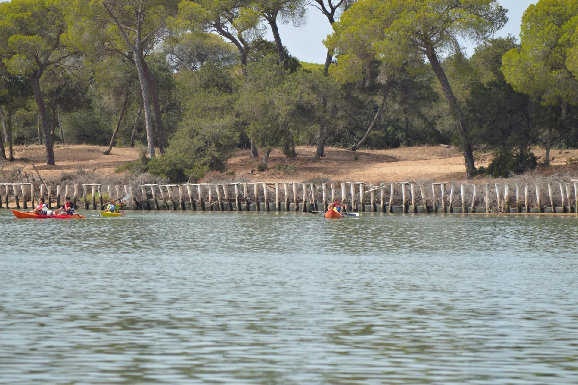 Descenso en kayak desde Doñana a Sanlúcar 5