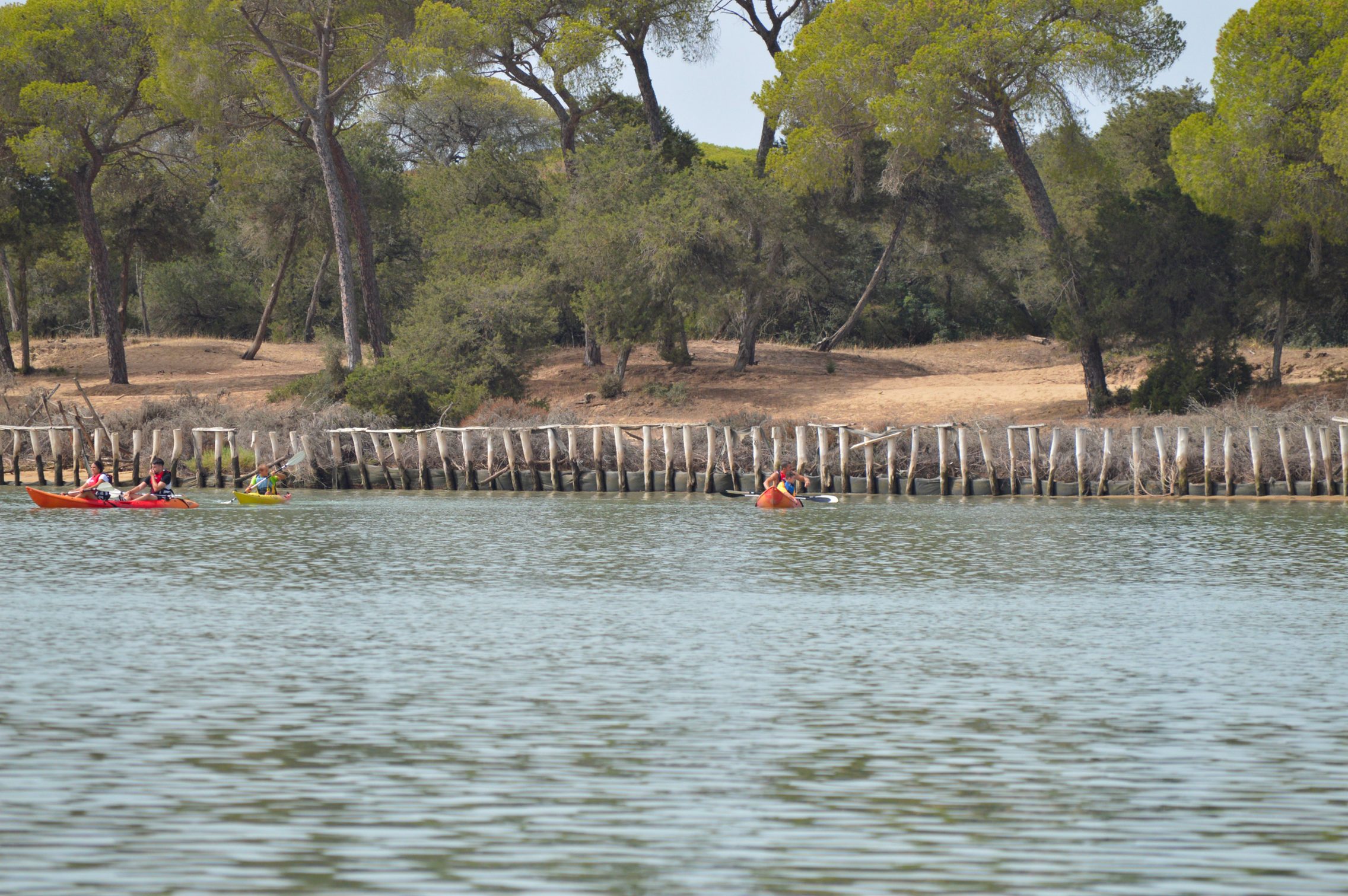 Descenso en kayak desde Doñana a Sanlúcar 5
