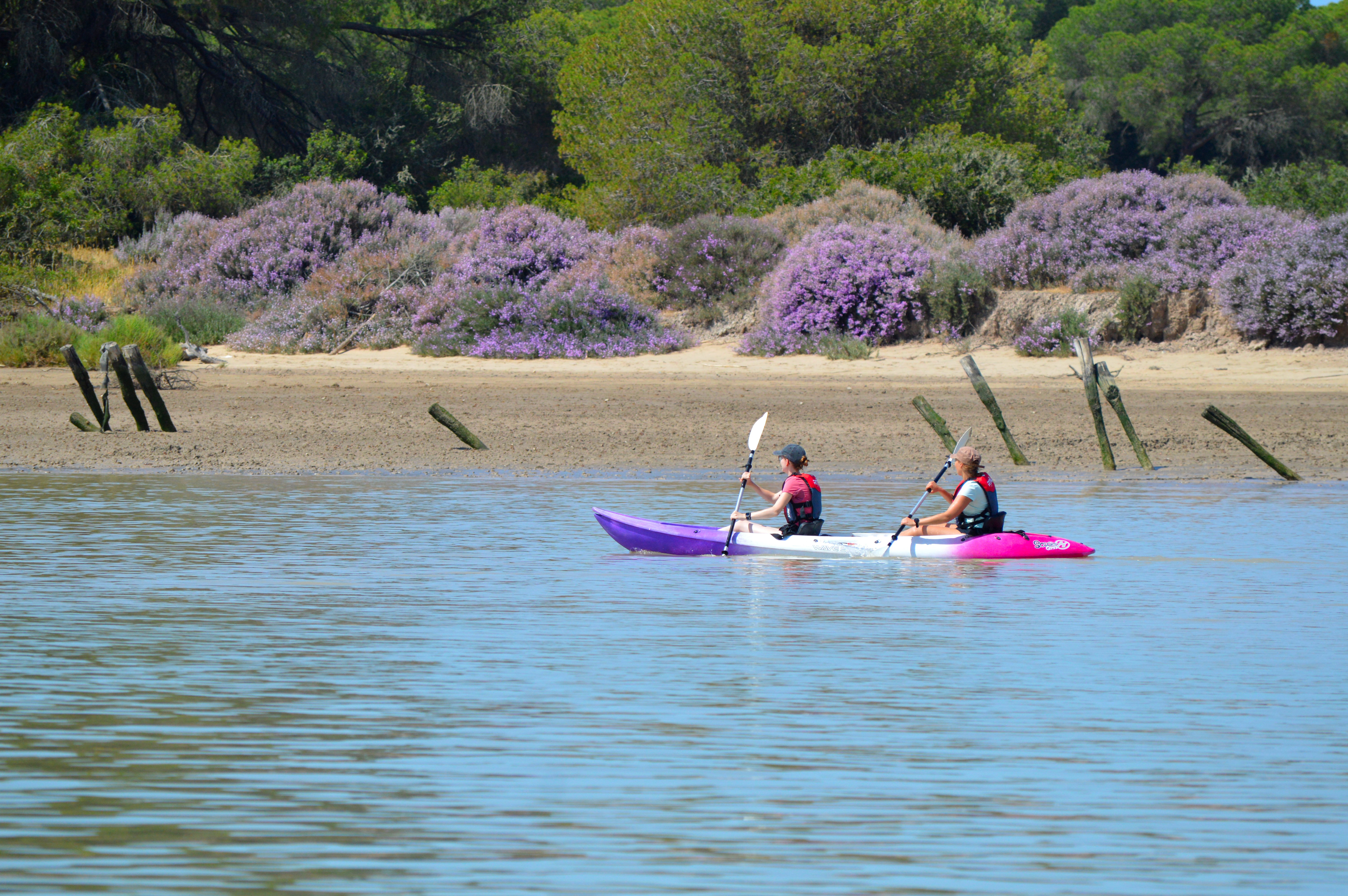 Descenso en kayak desde Doñana a Sanlúcar