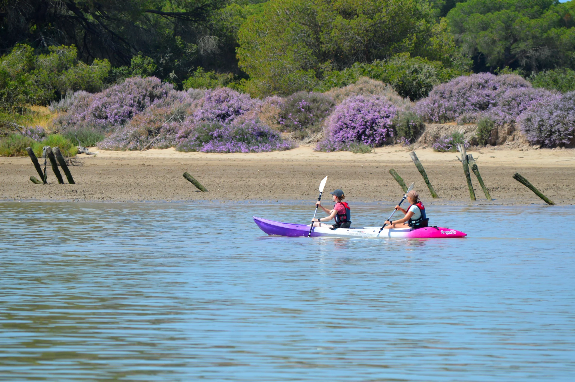 Descenso en kayak desde Doñana a Sanlúcar