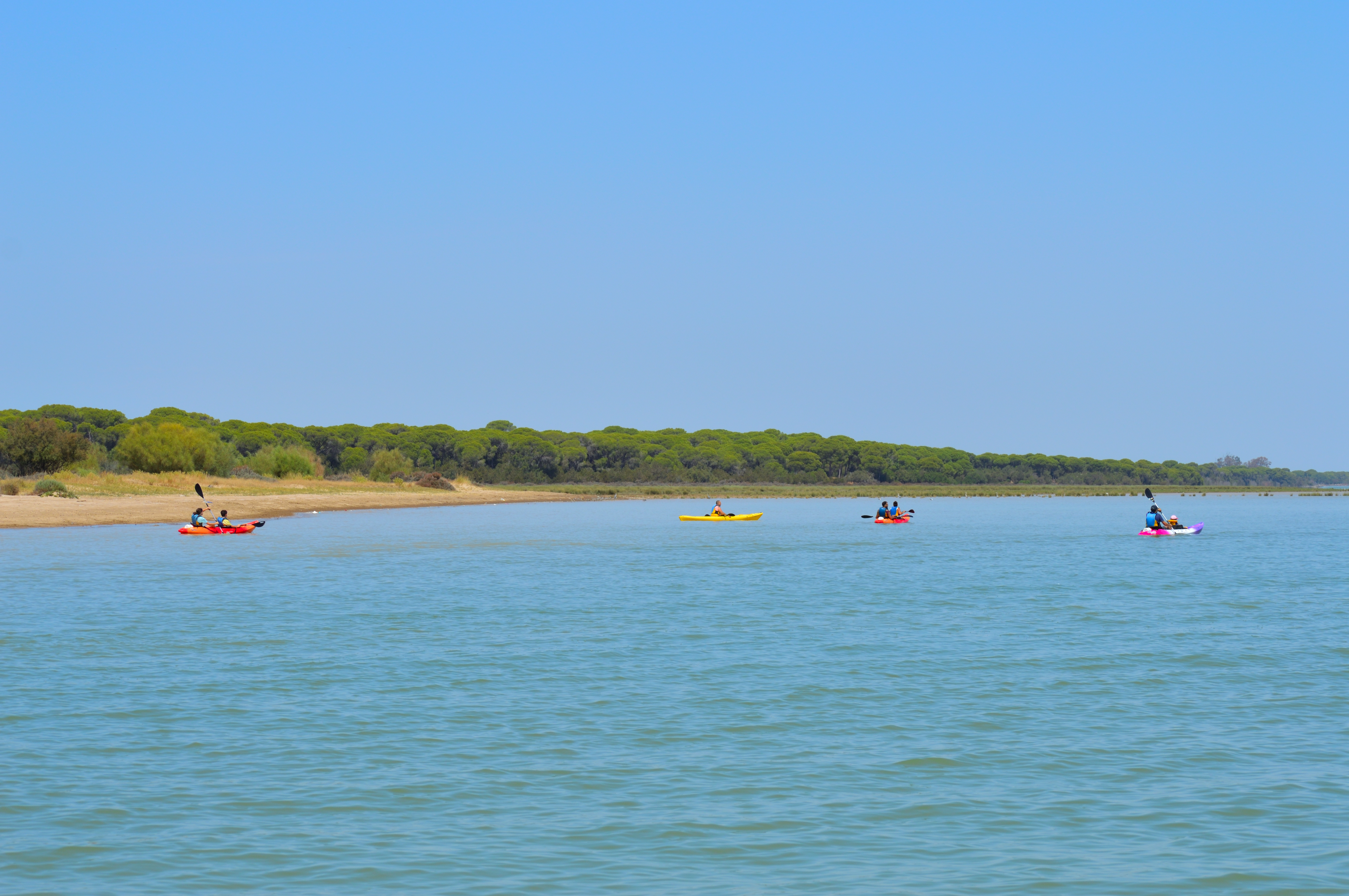 Descenso en kayak desde Doñana a Sanlúcar 6
