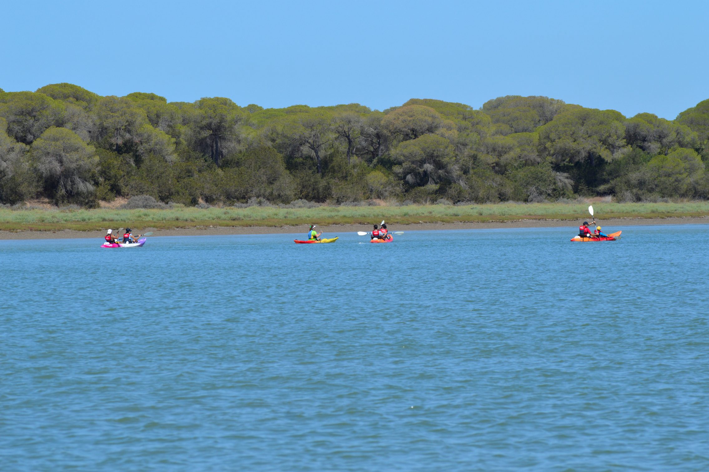 Descenso en kayak desde Doñana a Sanlúcar 2
