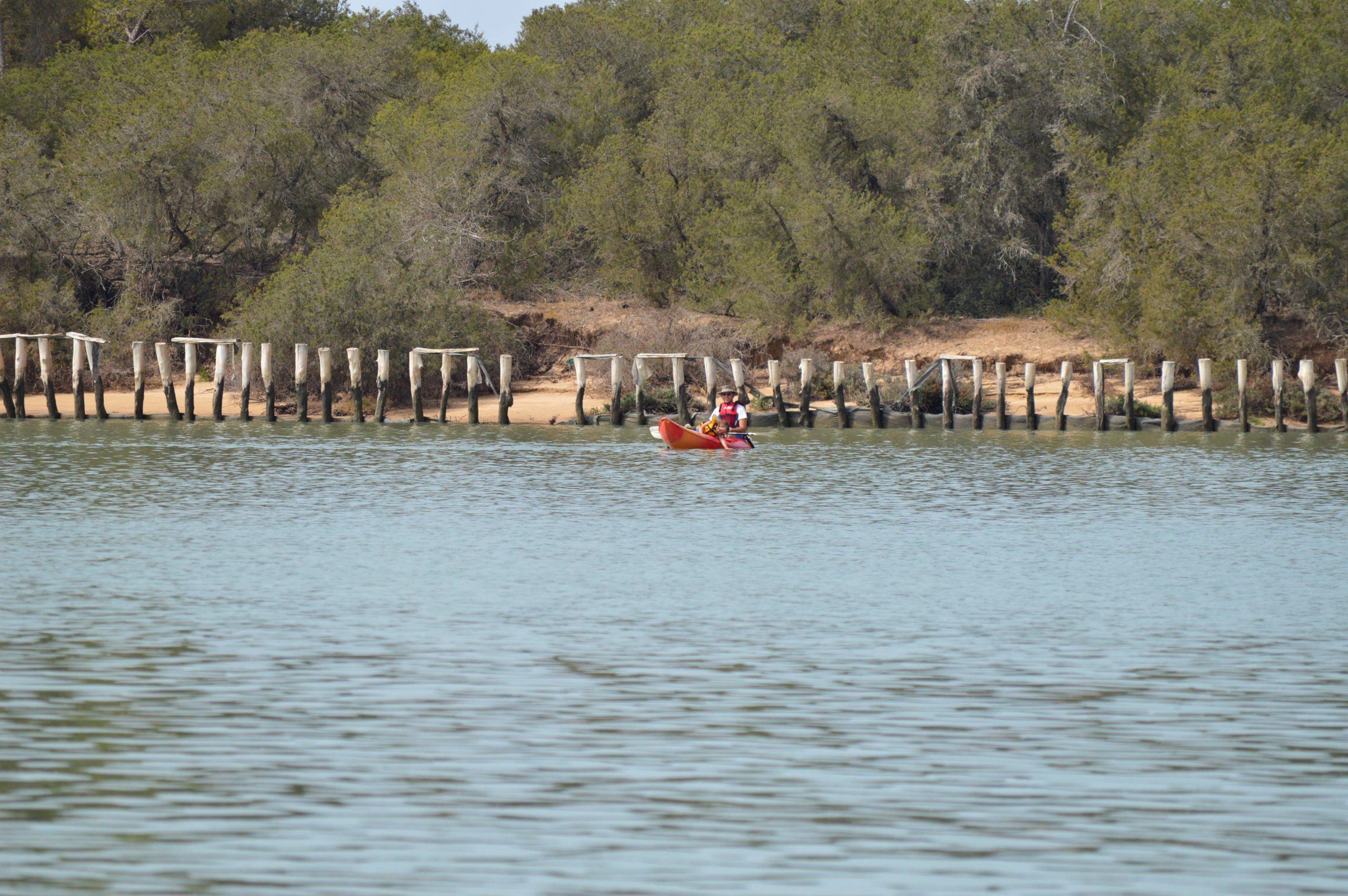 Descenso en kayak desde Doñana a Sanlúcar 1