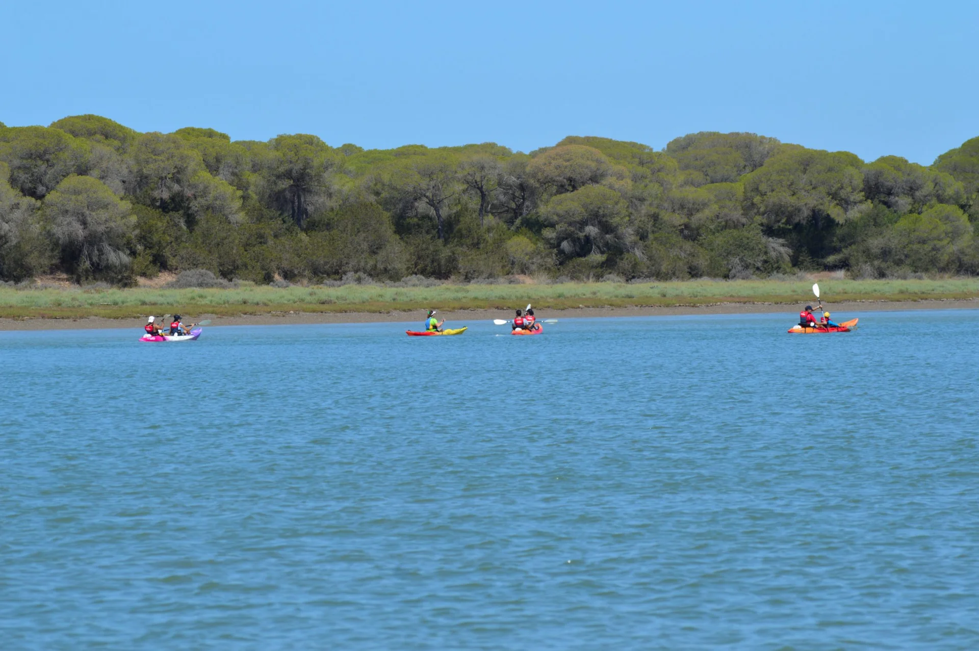 Descenso en kayak desde Doñana a Sanlúcar 2