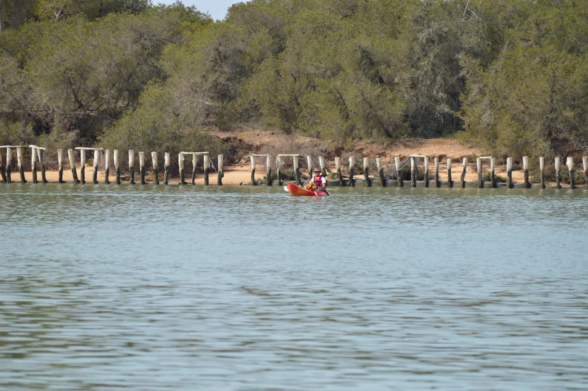 Descenso en kayak desde Doñana a Sanlúcar 1