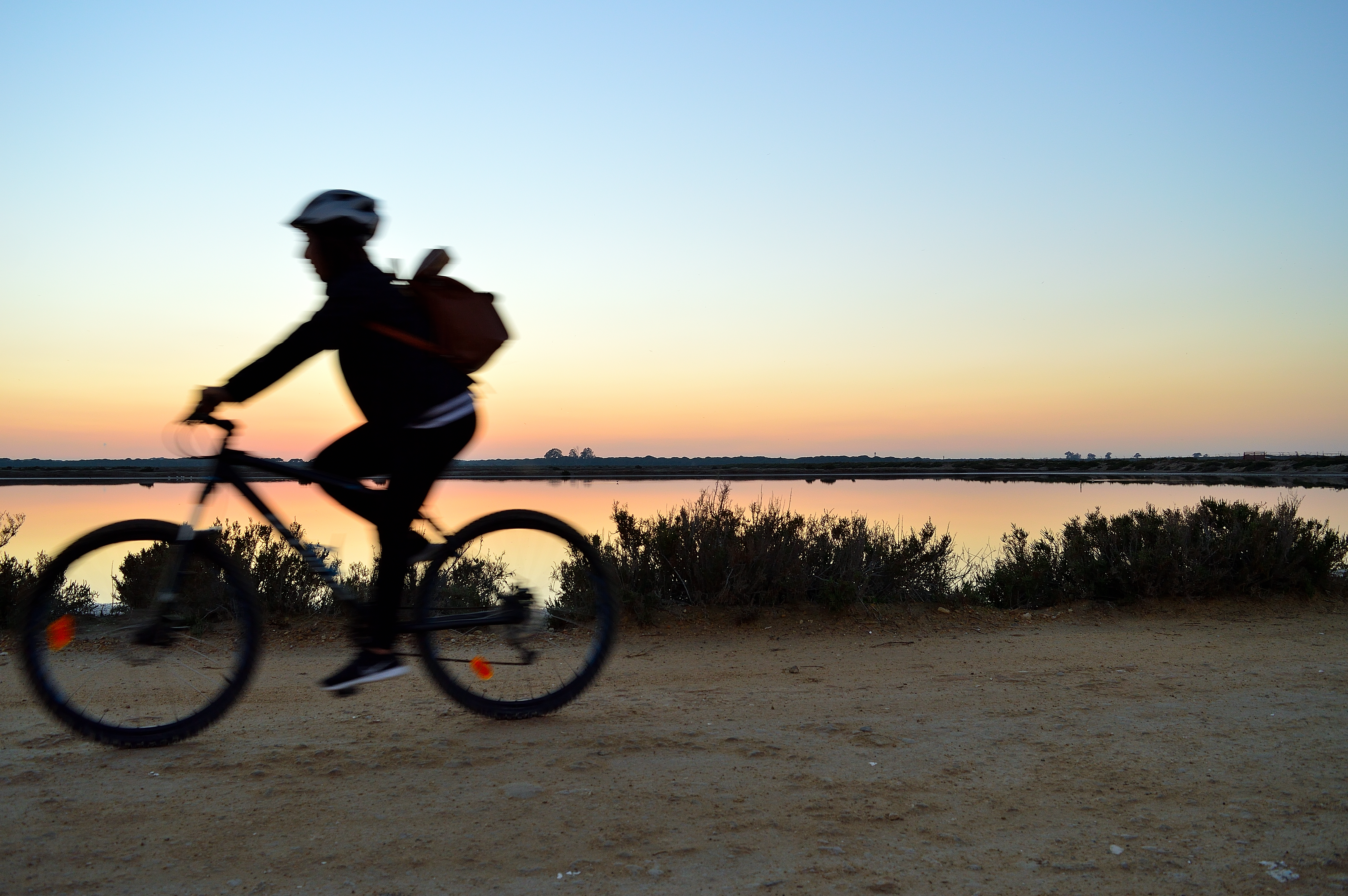 Ruta en bicicletas por las marismas 6