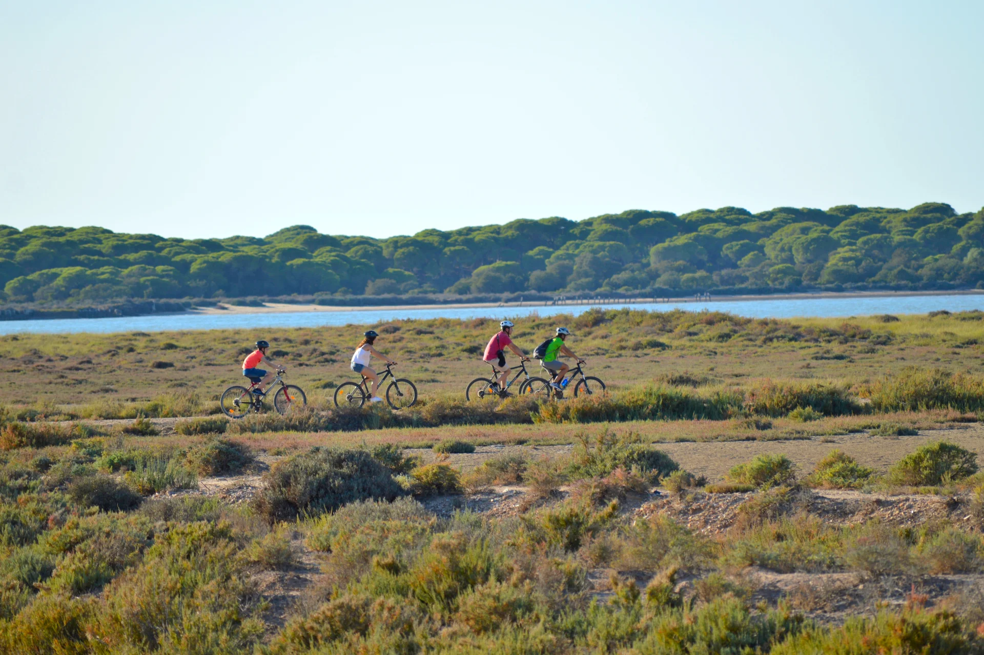 Ruta en bicicletas por las marismas
