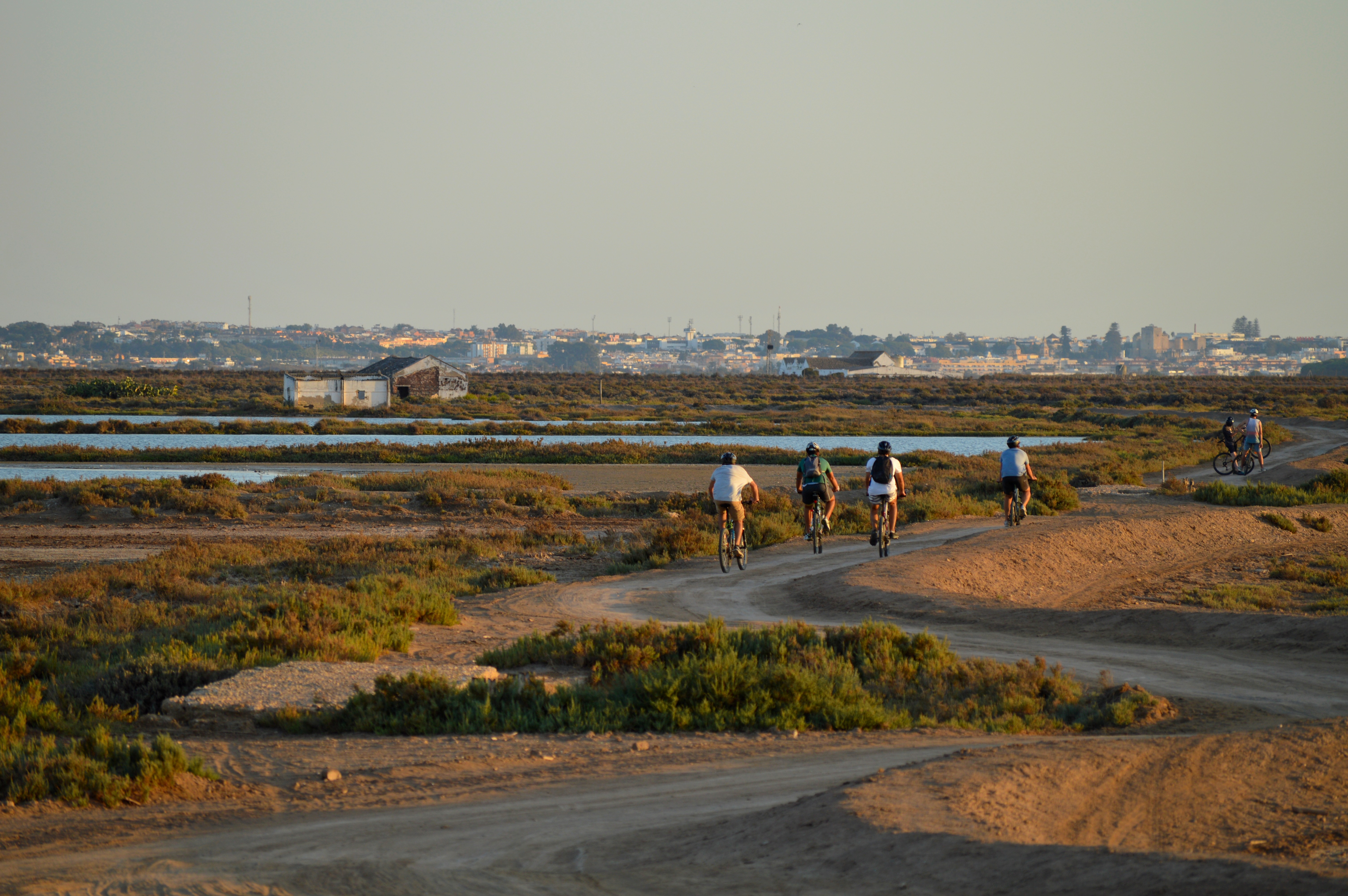 Ruta en bicicletas por las marismas 2