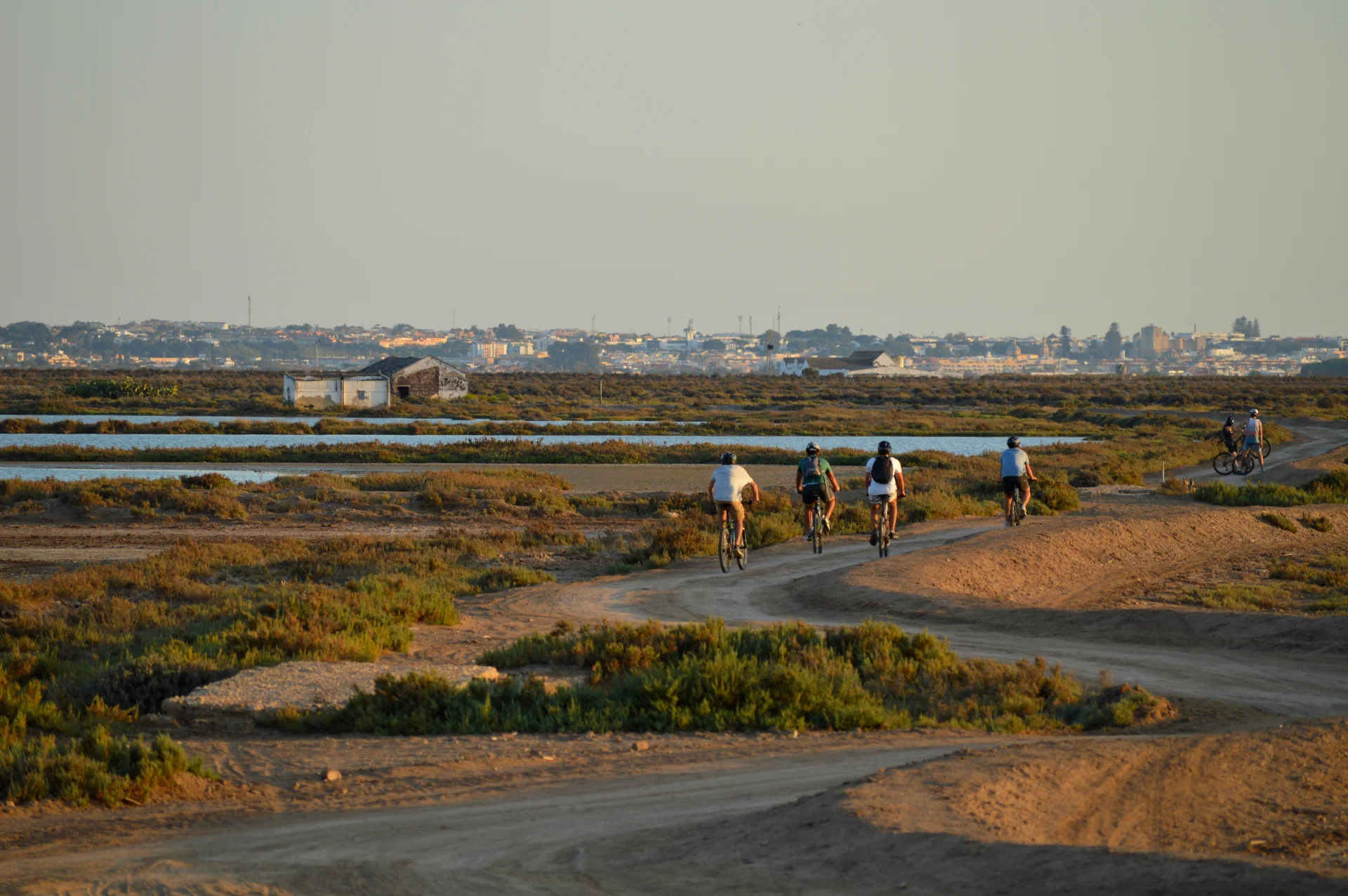 Ruta en bicicletas por las marismas 2