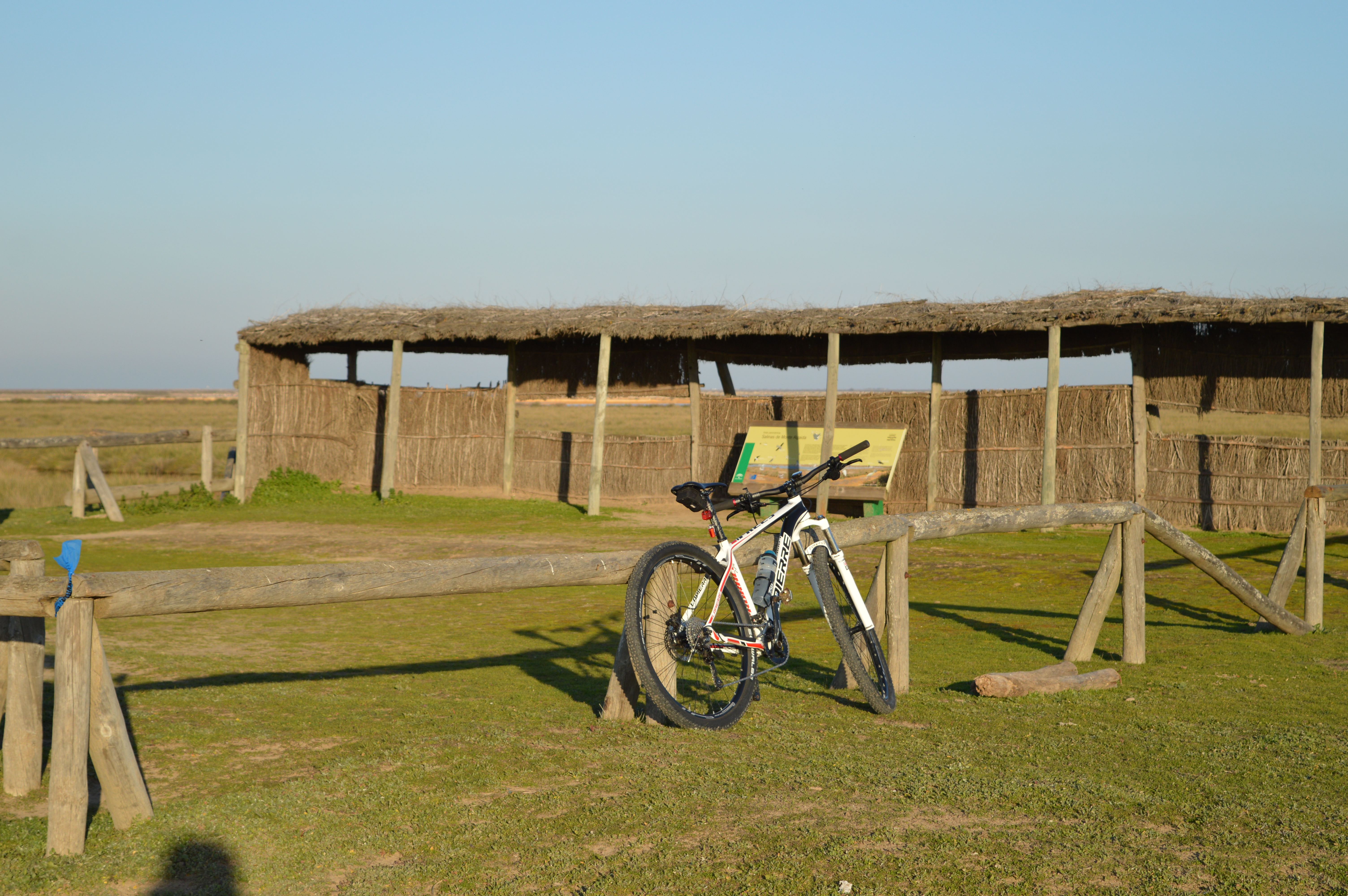 Ruta en bicicletas por las marismas 1