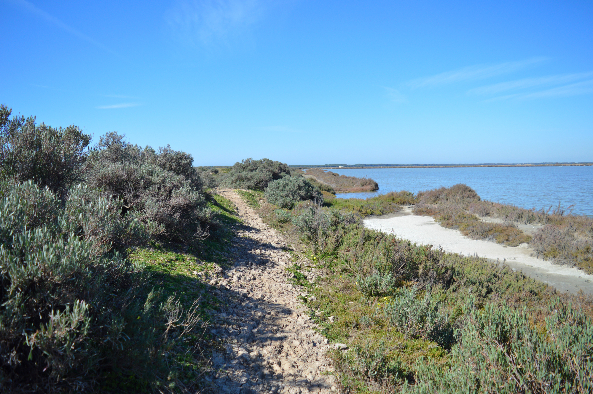 Sendero del Flamenco 1